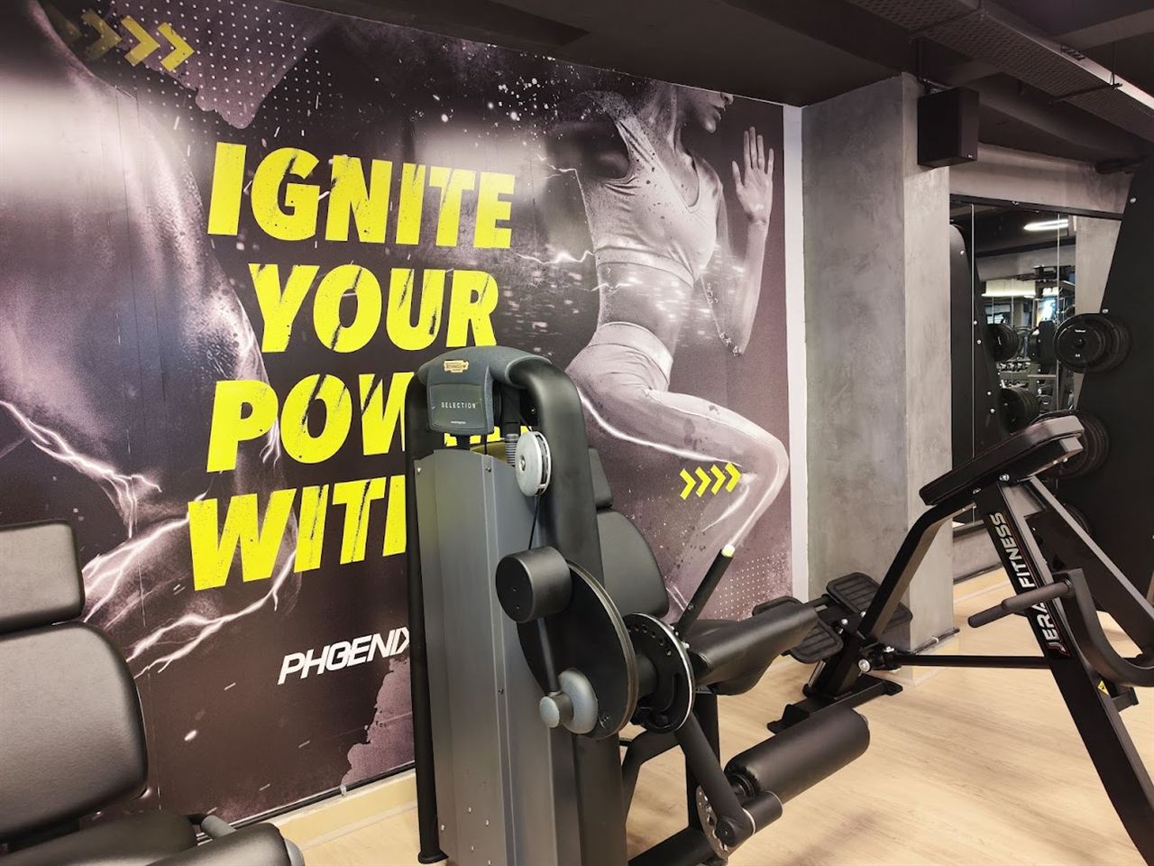 Phoenix B Fit Training